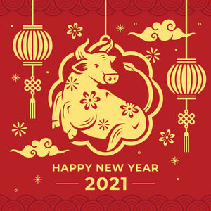 Happy Chinese New Year! - SHEARERS UGG