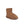 将图像加载到库查看器中，Active Mini Short Boot - SHEARERS UGG
