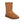 Load image into Gallery viewer, Classic Short - SHEARERS UGG
