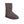 Load image into Gallery viewer, Classic Short - SHEARERS UGG
