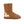 将图像加载到库查看器中，Classic Short Calf - SHEARERS UGG
