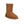 将图像加载到库查看器中，Classic Short Calf - SHEARERS UGG
