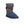 将图像加载到库查看器中，Denim Classic Short - SHEARERS UGG
