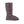 Load image into Gallery viewer, Lace Up Classic Tall - SHEARERS UGG
