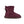 将图像加载到库查看器中，Mini Bow - SHEARERS UGG
