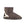 将图像加载到库查看器中，Mini Calf - SHEARERS UGG
