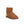 将图像加载到库查看器中，Mini Calf - SHEARERS UGG
