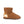 将图像加载到库查看器中，Mini Calf - SHEARERS UGG
