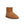 将图像加载到库查看器中，Mini Calf - SHEARERS UGG

