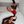 Load image into Gallery viewer, [ugg], [original ugg], [ugg boots], [sneaker], [classic ugg], [UGG Boots], [UGG Boot], [UGG AU], [UGG Original], [Shearers UGG], [UGG Sydney], [UGG Shoes], [UGG Australia], [UGG Australian Made], [UGG US], [UGG UK], [UGG Women], [UGG Mini] 
